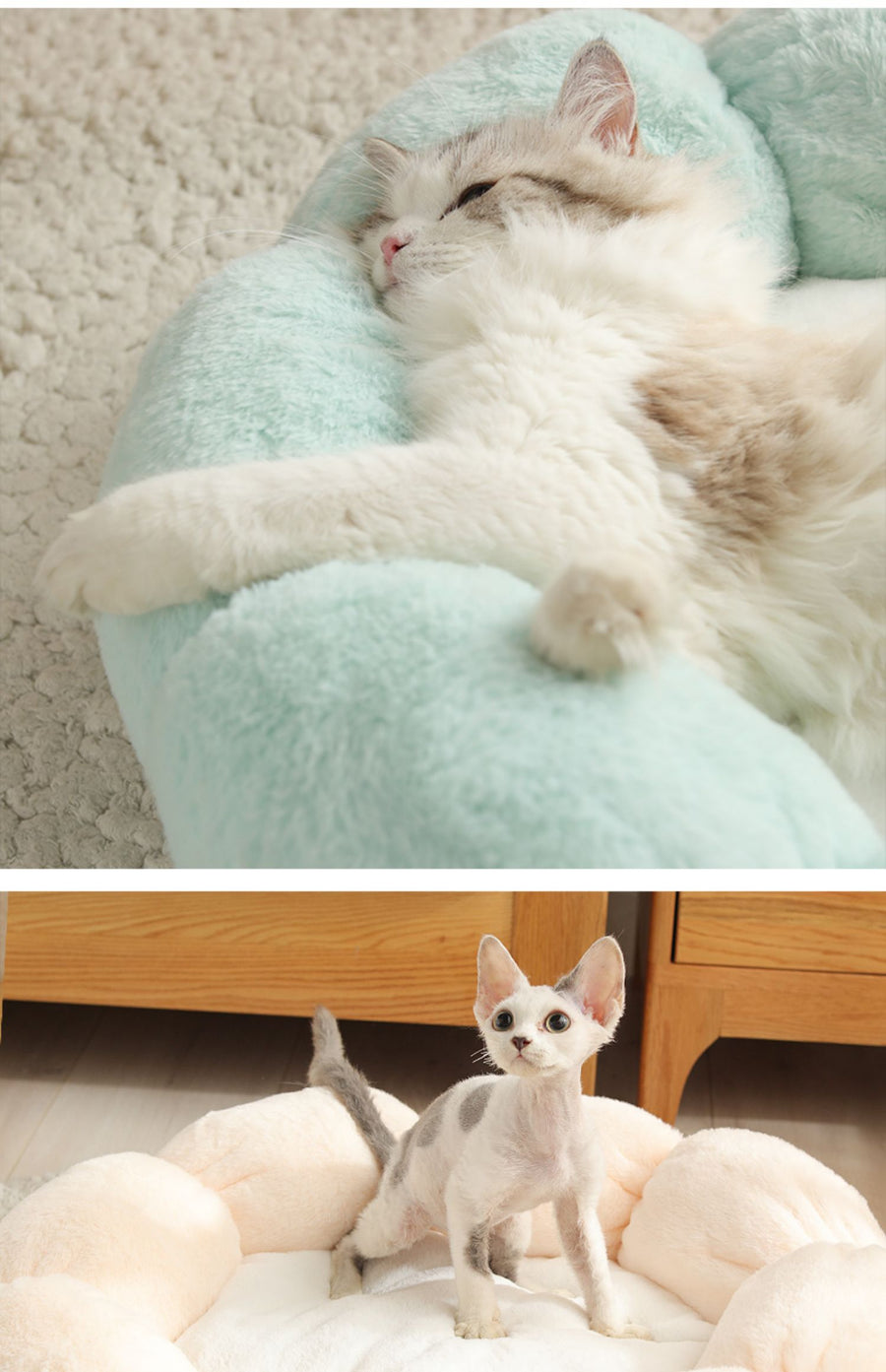Universal Washable Cat and Dog Bed